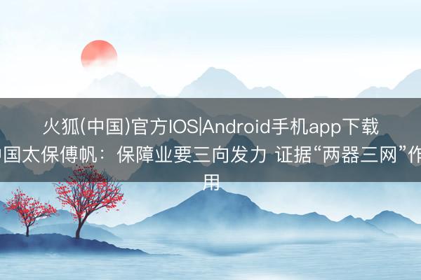 火狐(中国)官方IOS|Android手机app下载 中国太保傅帆:保障业要三向发力 证据“两器三网”作用