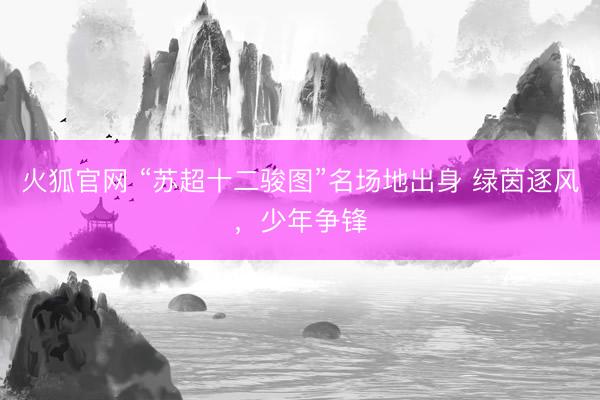 火狐官网 “苏超十二骏图”名场地出身 绿茵逐风，少年争锋