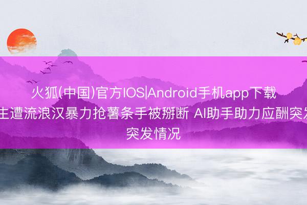 火狐(中国)官方IOS|Android手机app下载 留学生遭流浪汉暴力抢薯条手被掰断 AI助手助力应酬突发情况
