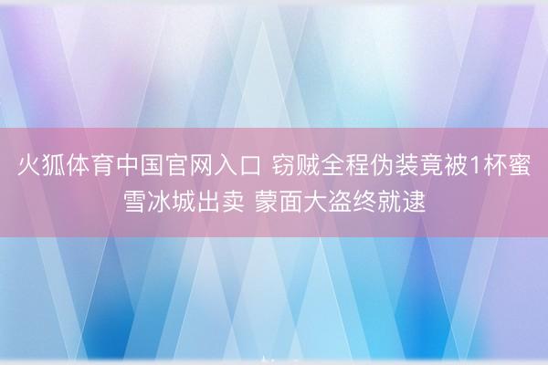 火狐体育中国官网入口 窃贼全程伪装竟被1杯蜜雪冰城出卖 蒙面大盗终就逮