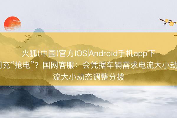 火狐(中国)官方IOS|Android手机app下载 比亚迪闪充“抢电”？国网客服：会凭据车辆需求电流大小动态调整分拨