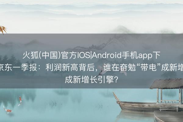 火狐(中国)官方IOS|Android手机app下载 拆解京东一季报：利润新高背后，谁在奋勉“带电”成新增长引擎？