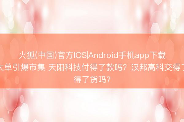 火狐(中国)官方IOS|Android手机app下载 28亿大单引爆市集 天阳科技付得了款吗？汉邦高科交得了货吗？