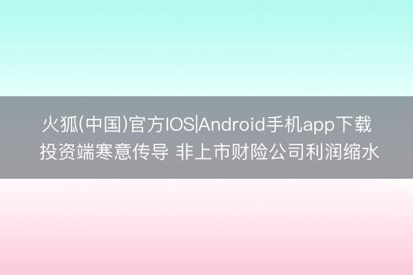 火狐(中国)官方IOS|Android手机app下载 投资端寒意传导 非上市财险公司利润缩水