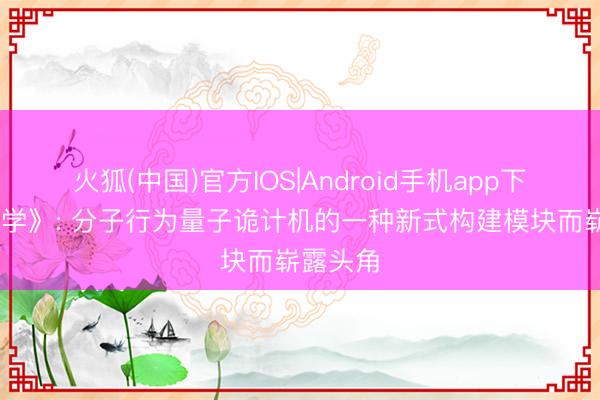 火狐(中国)官方IOS|Android手机app下载 《科学》: 分子行为量子诡计机的一种新式构建模块而崭露头角